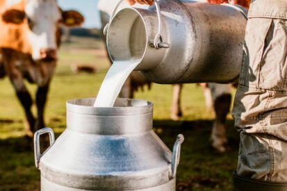 sector lácteo colombiano