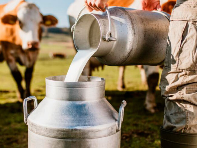 Foto-iStock sector lácteo colombiano