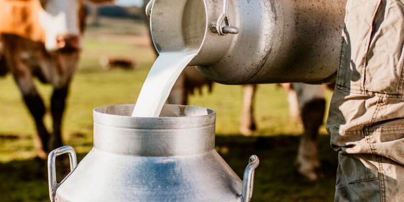 Foto-iStock sector lácteo colombiano