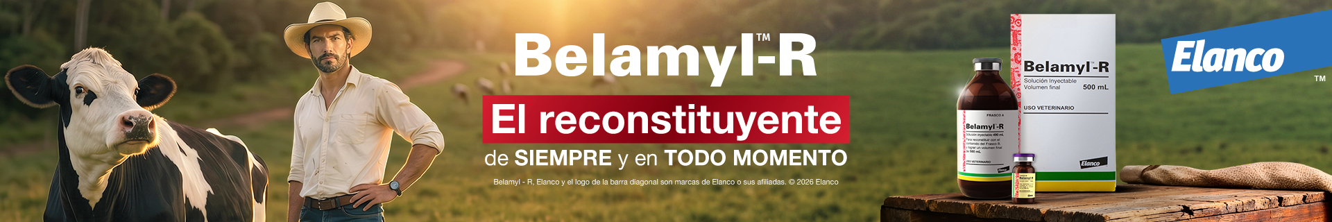 ARTE-BELAMYL